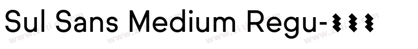 Sul Sans Medium Regu字体转换